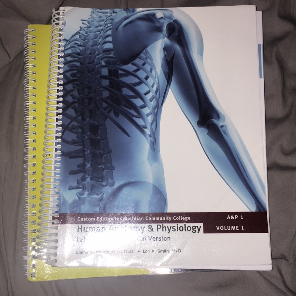 AP 1 book and atlas, used